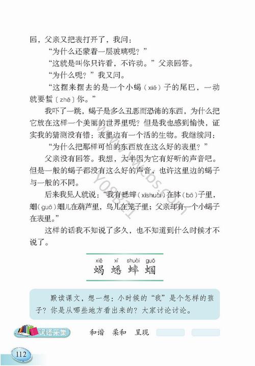 语文s版六年级上册《表里的生物》教案