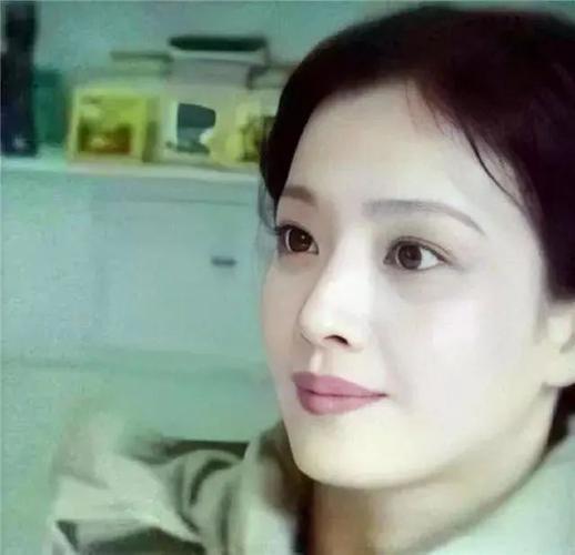 为了女儿刘亦菲,刘晓莉究竟付出了多少?