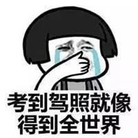形容考驾照的幽默头像图片【点击鼠标右键下载】