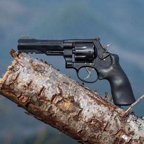 老牌枪厂史密斯维森枪械图集