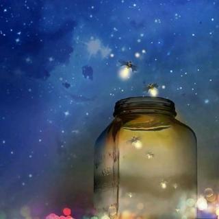 夏夜的萤火虫