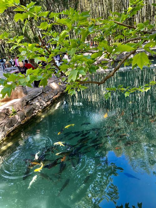 临朐 老龙湾_景点_老龙湾风景区攻略_临朐_出行_人文