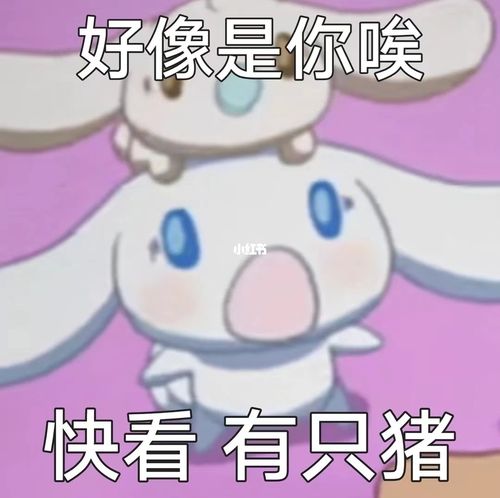 表情包_玉桂狗_玉桂狗表情包_素材_表情包