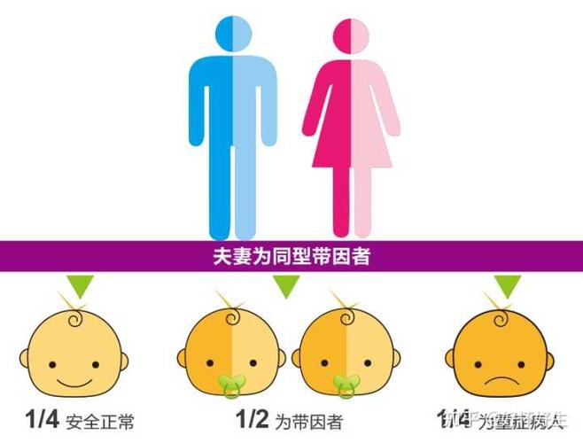 什么是「地中海贫血」,应当如何预防和应对?