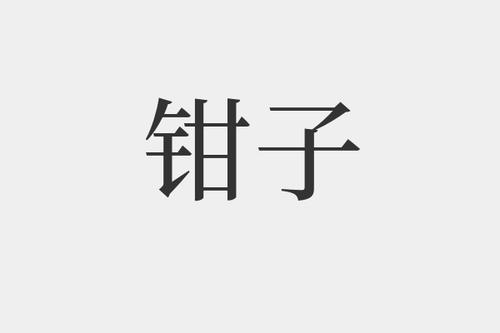 钳子是什么意思-钳子的拼音和解释-组词