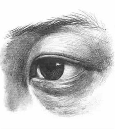 素描静物的画法步骤图