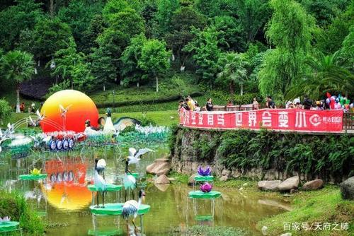 艾雅康世界爱鸟节公益免费灯会在雅安张家山开幕