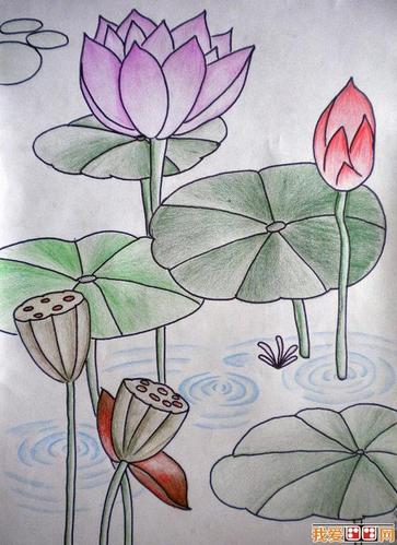 儿童画夏日荷塘景色儿童蜡笔画欣赏