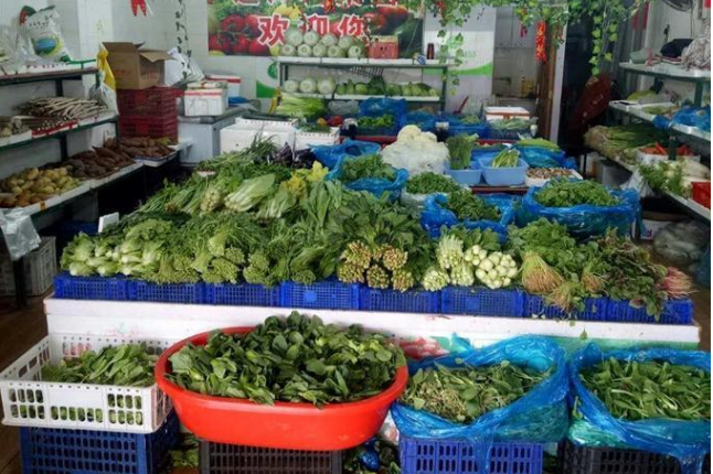 每天的菜篮子:肉菜市场,生鲜超市,大型商场,地摊,你会选择在哪买菜