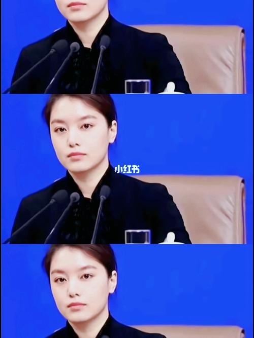 最美外交官张京_张京_社科_社科其他