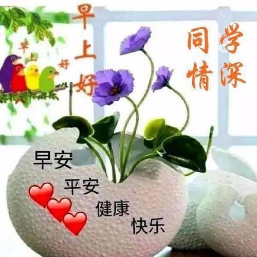 8张有创意的老同学早安问候动画表情图片 老同学早上好问候祝福图片带