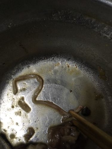 吃了差不多时,发现了这个,请问这个像小面条一样的是不是猪肉寄生虫