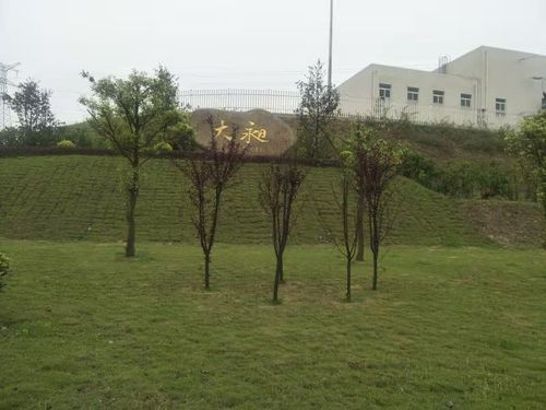 大昶(重庆)电子科技有限公司