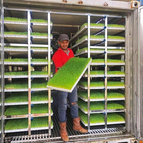 日产量:100/500/100/1500kg 可种植植物:大麦,小苗,玉米,各种豆芽类