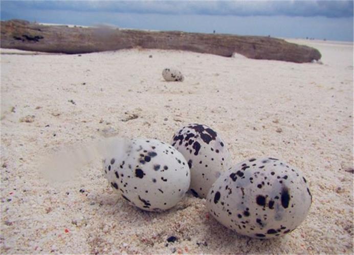 西沙群岛,童话般的天堂!