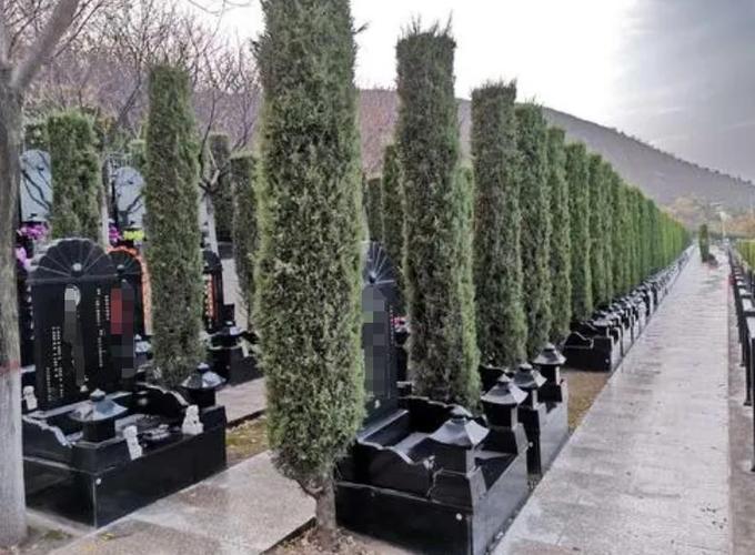 西安曲江新区墓碑咨询处_西安霸陵墓园新区