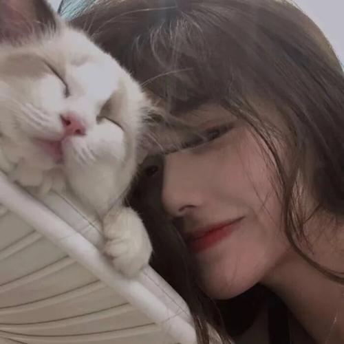 猫系女生头像