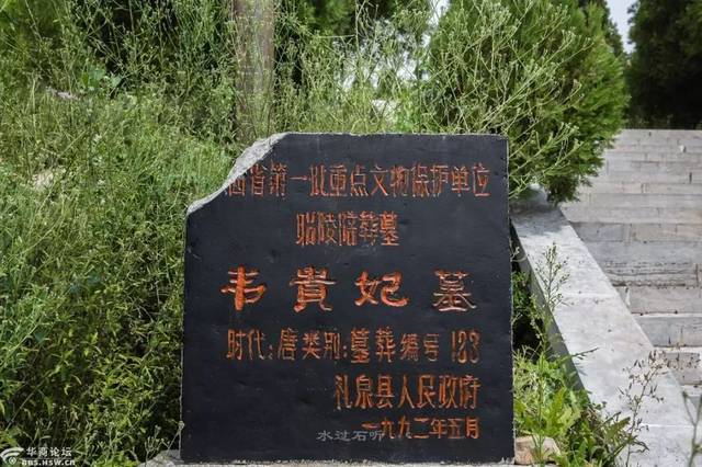 探访唐昭陵,带你了解"天下名陵"里的盛唐文化