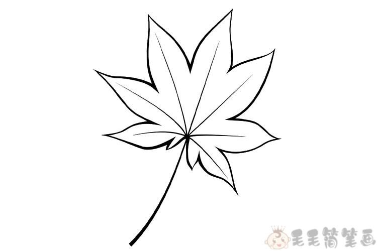 漂亮的树叶简笔画枫叶儿童简笔画