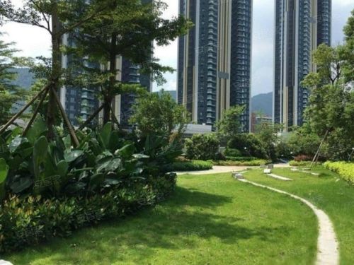 宝能城花园(西区)