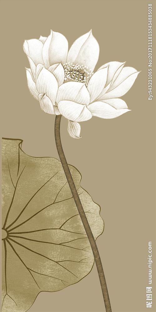 莲花图片大全大图手绘?莲花图片大全大图佛教 观音莲花图片大全