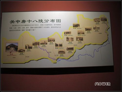 唐618-907年,近三百年间有21位皇帝,关中18陵埋了19位唐皇帝.