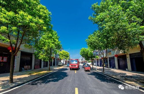 多图实录枣阳杨垱镇!乡村振兴幸福景,百姓喜颜开!