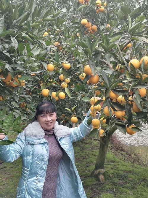 重庆南岸茶园长生桥"香茗山"农家乐