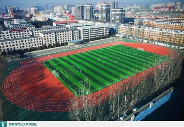 内蒙古农业大学东校区