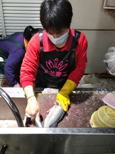 杀鱼的阿姨熟能生巧,刷刷刷,一条就杀好了!