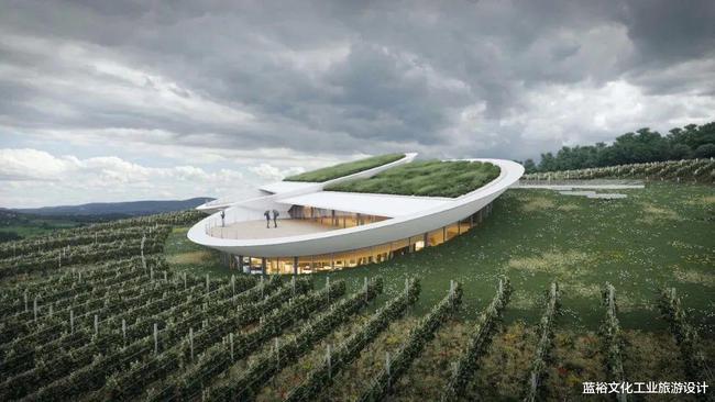 酒庄设计两双大眼睛您更喜欢哪双