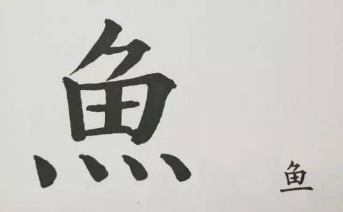 汉字王国(四)| 书法课有孩子问我"鱼"字为什么要这样写,我告诉他
