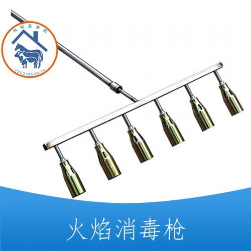 >消毒喷火枪 脱毛机