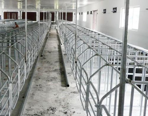 不带料槽限位栏 母猪定位栏 国标热镀锌限位栏 加厚母猪栏