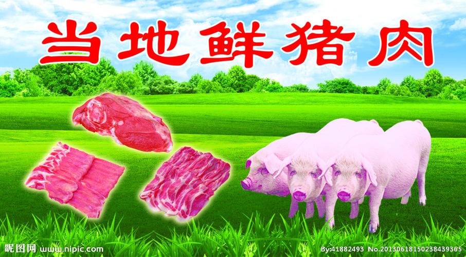 鲜猪肉海报图片