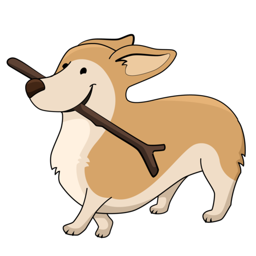 柯基犬图片大全