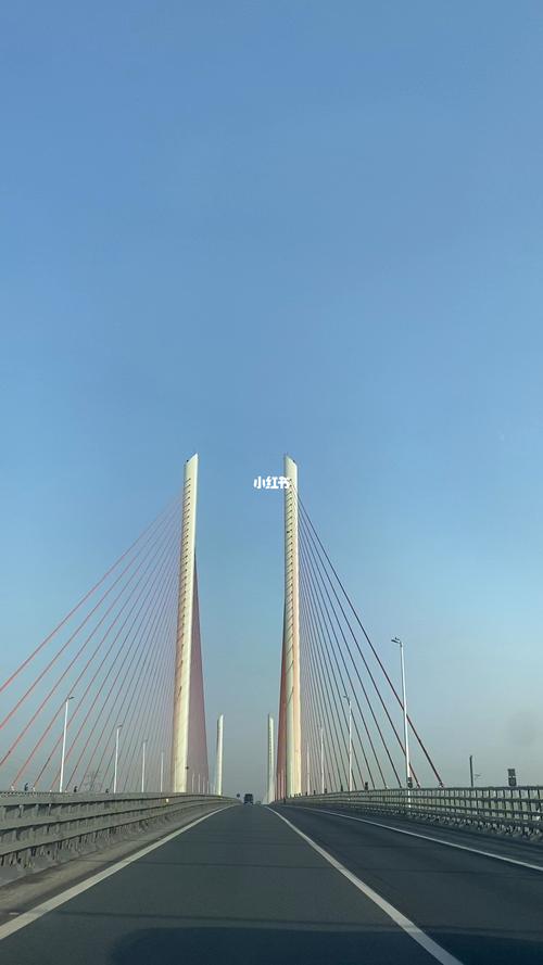 滨州黄河大桥_出行_人文风光展示
