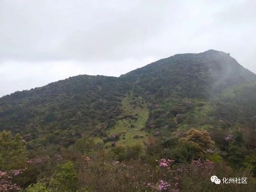 4月10日高州大水坑赏花,登山一日游
