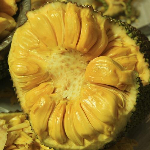 海南现摘木波萝蜜萝蜜20斤 菠萝蜜新鲜水果假榴莲