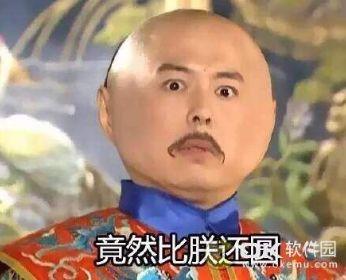 圆珠格格表情包-还珠格格大圆脸版表情包图片大全