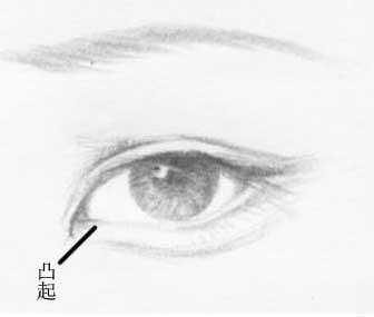 古风桃花眼杏眼丹凤眼究竟长什么样