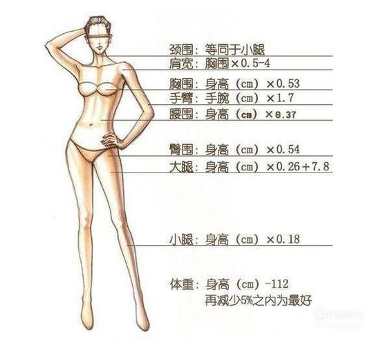 女生标准身材的黄金比例