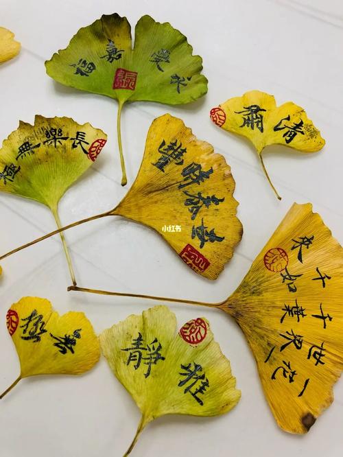 银杏·书签_银杏_书签_毛笔字_书法_银杏叶书签_人文