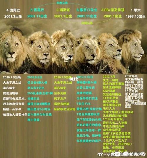 坏男孩联盟_坏男孩联盟_娱乐_明星娱乐资讯
