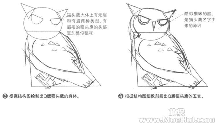 q版漫画技法147特训练习绘制有趣的q版猫头鹰
