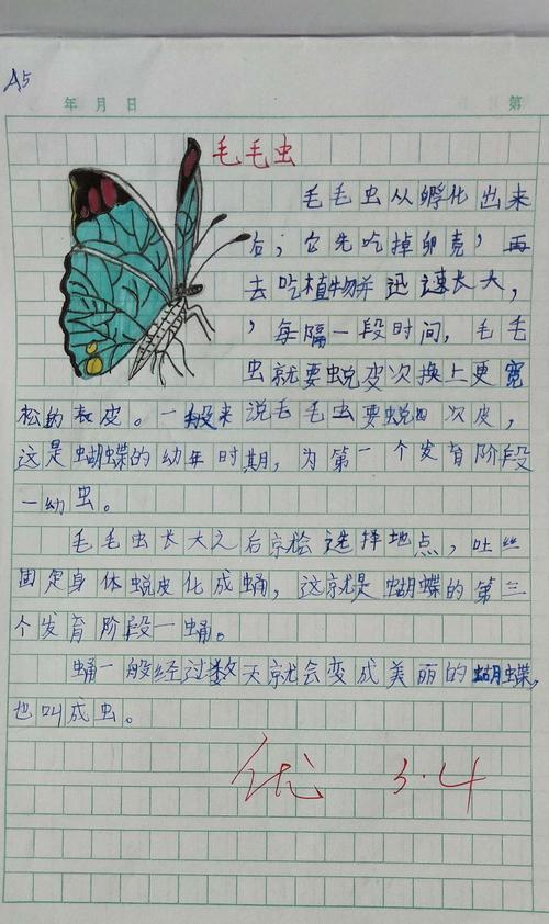 三五班《昆虫备忘录》优秀作品