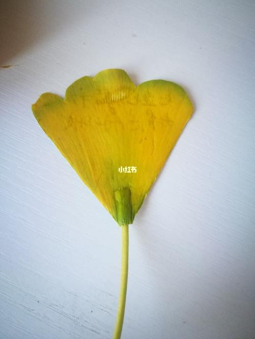 银杏树叶书签_书签_银杏_diy手工制作_兴趣爱好_手工