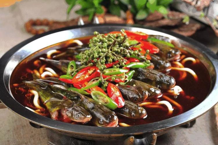 尤其是新津的黄辣丁一定得尝尝,胖大姐鱼庄以及新蒲路河鲜美食街都是
