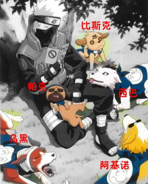 火影忍者:卡卡西的八只忍犬,每一只都很名贵,最后一只