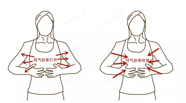 自查你的肋骨有外翻吗该如何自我纠正